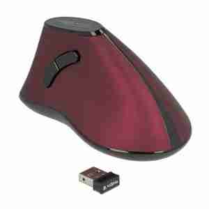 DELOCK Εργονομικό Vertical Mouse, Οπτικό, ασύρματο, 5 buttons