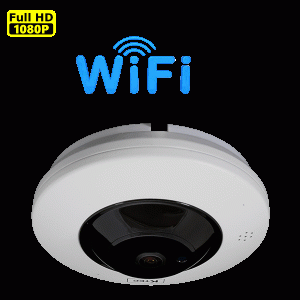 IP-200 FISHEYE