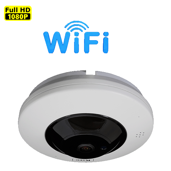 IP-200 FISHEYE