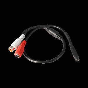 MIC 1