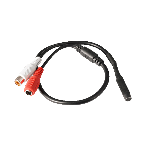 MIC 1