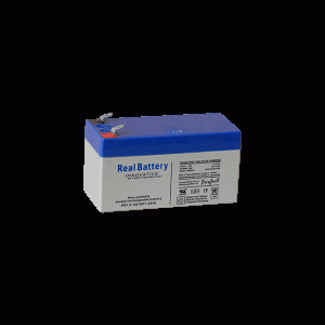 RB 12-1.3