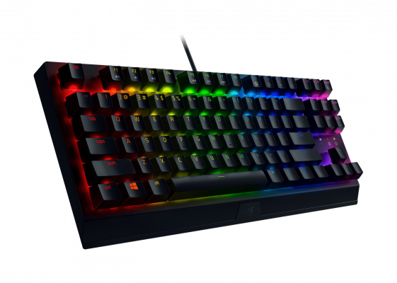 BlackWidow V3 Tenkeyless 2020 Render03